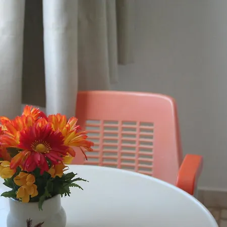 - Tranquilidade Junto A E Ao Centro! * 알부페이라